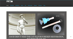 Desktop Screenshot of catstretcher.com